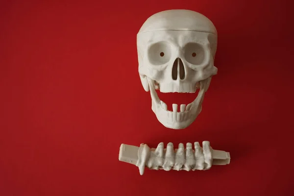 解剖学人体 头骨与牙齿 带阴影的红色血腥背景下的骨骼系统 — 图库照片