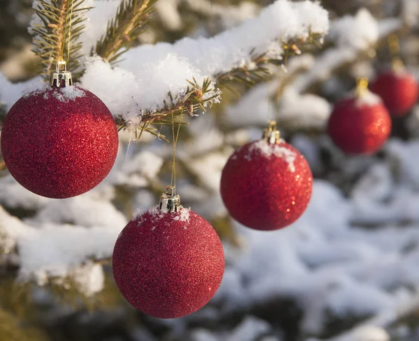 Palle Natale Rosse Ramo Albero Coperto Neve Albero Natale Sfondo — Foto Stock