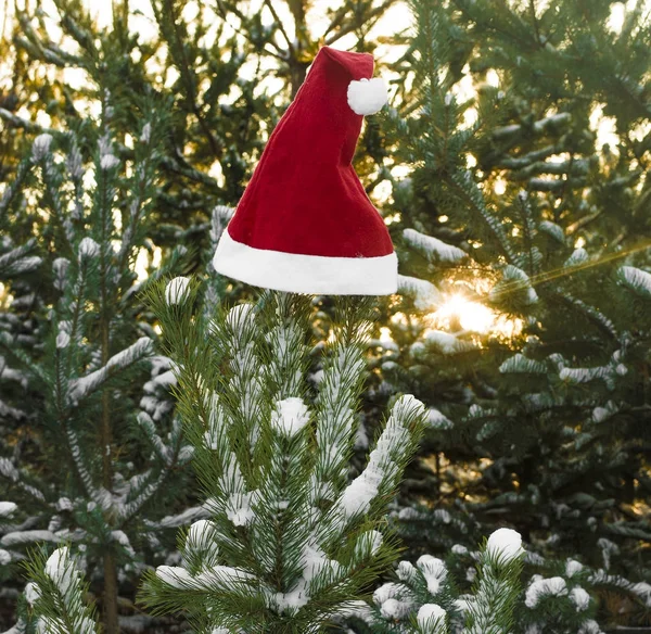 Símbolo Las Vacaciones Invierno Navidad Año Nuevo Sombrero Santa Claus —  Fotos de Stock