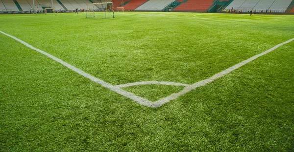 サッカー競技場を草します。 — ストック写真
