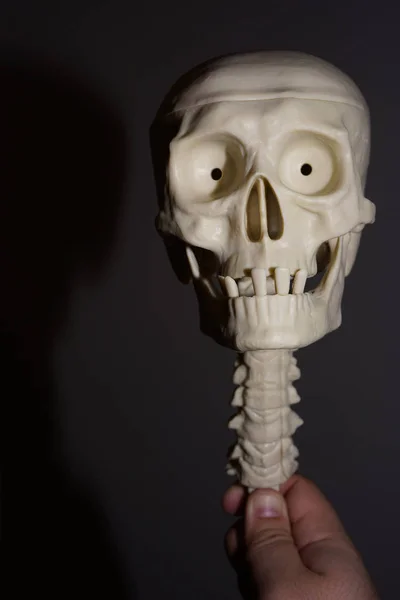 解剖学 歯と背骨と頭蓋骨 黒い背景に分離された骨格システム — ストック写真