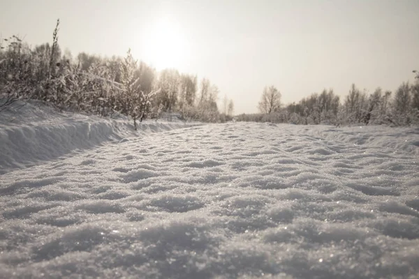 Tramonto in una foresta invernale — Foto Stock