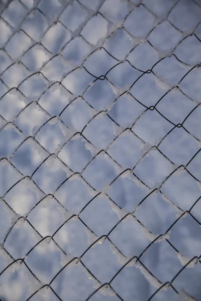 メッシュの網 用いたは雪 テクスチャで覆われています 錆びたフェンスを用いた — ストック写真
