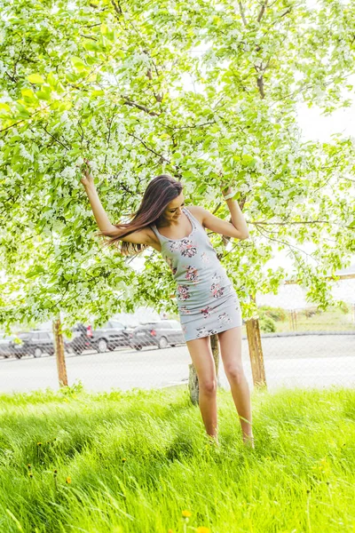 女人站在那棵苹果树附近温暖的夏日阳光明媚的日子 — 图库照片