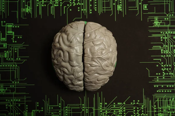 Cervello Umano Con Circuito Elettrico Concetto Intelligenza Artificiale Stile Del — Foto Stock