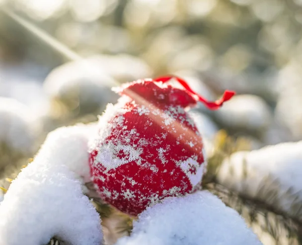 Palla Natale Rossa Ramo Albero Coperto Neve Albero Natale Sfondo — Foto Stock