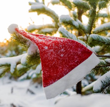 kış tatili, Noel ve yeni yıl. Noel Baba ve Noel ağacı şapka. Kar dalları üzerinde şapka