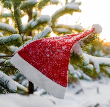 kış tatili, Noel ve yeni yıl. Noel Baba ve Noel ağacı şapka. Kar dalları üzerinde şapka