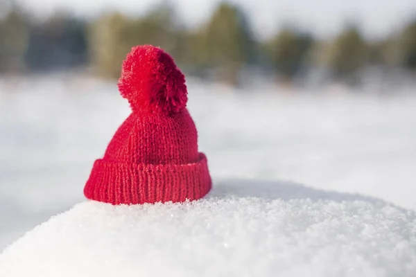 Έννοια Του Χειμώνα Κόκκινο Καπέλο Πλεκτό Πεύκα Δάσος Και Γαλάζιο — Φωτογραφία Αρχείου