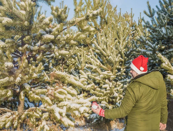 Mann Mittleren Alters Schmückt Einen Weihnachtsbaum Und Trägt Rote Weihnachtsmütze — Stockfoto