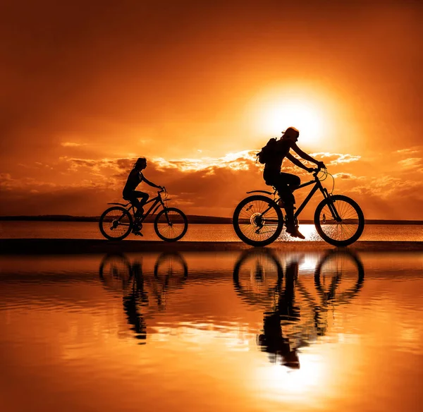 Sportliche Freunde Auf Fahrrädern Bei Sonnenuntergang Silhouetten Von Radfahrern Der — Stockfoto