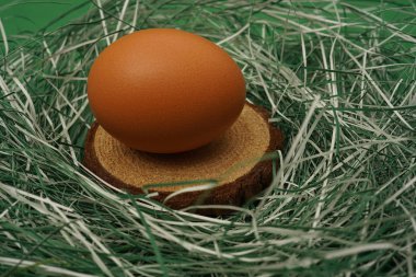 Paskalya yumurtası çimenlerin üzerinde ahşap plaka üzerinde. Metin için özgür yer. Paskalya tatili