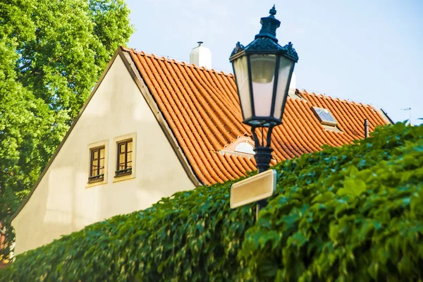 Orangefarbenes Dach Der Villa Hinter Den Großen Grünen Blättern Tore — Stockfoto