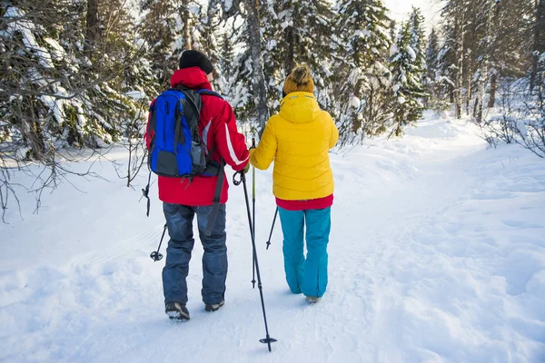 Kışın dağ yürüyüş trekking Polonyalılar zor tırmanma sahip çiftle seyahat