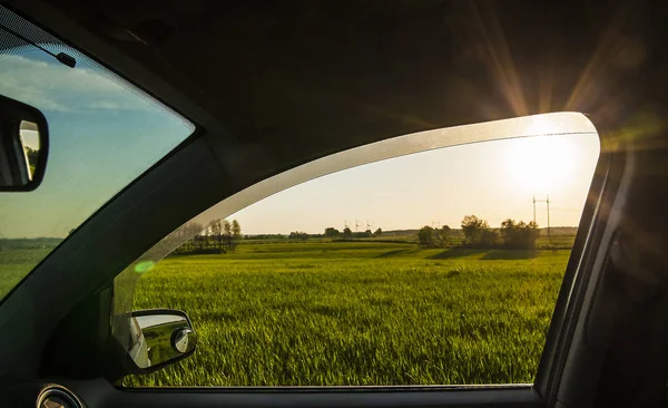 View from window car with landscape colorful meadow and sky sunny green season beautiful on  the summer day