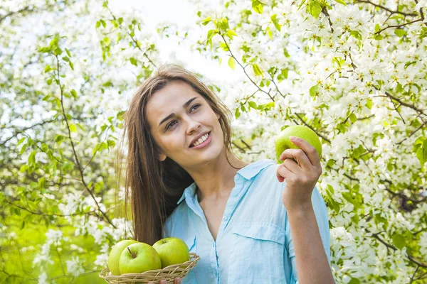 young beautiful woman holding apples against blooming apple tree background