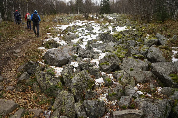 Hiking in the mountains in winter. Backpackers walking on snow-covered mountain slope.