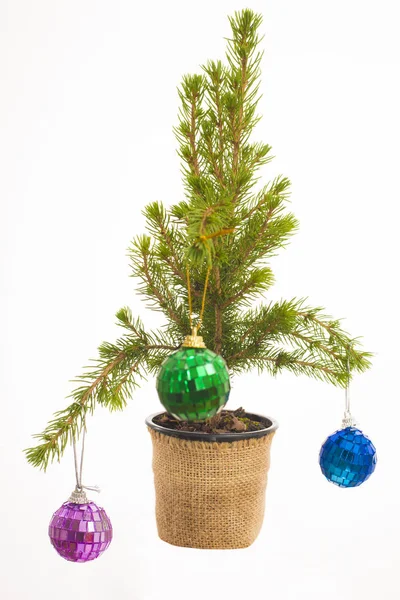 Pequena Árvore Natal Decorativa Com Brinquedos Redondos Coloridos Cesta Isolada — Fotografia de Stock