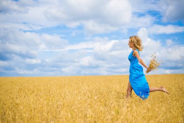 elinde mavi yaz gökyüzü bulutlu karşı grup buğday kulak tutan ince kadın. 