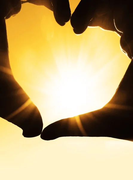 Hands in shape of  heart on sunlight background.