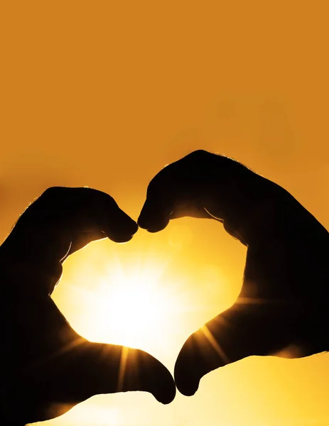 Hands in shape of  heart on sunlight background.
