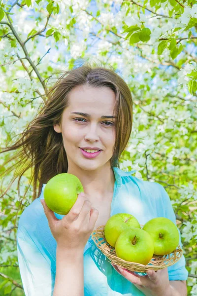 young beautiful woman holding apples against blooming apple tree background