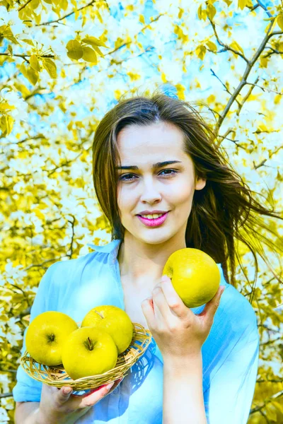 young beautiful woman holding apples against blooming apple tree background