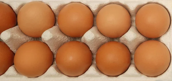 Pasen Vakantie Achtergrond Kip Bruine Eieren Achtergrond Van Voeding Van — Stockfoto