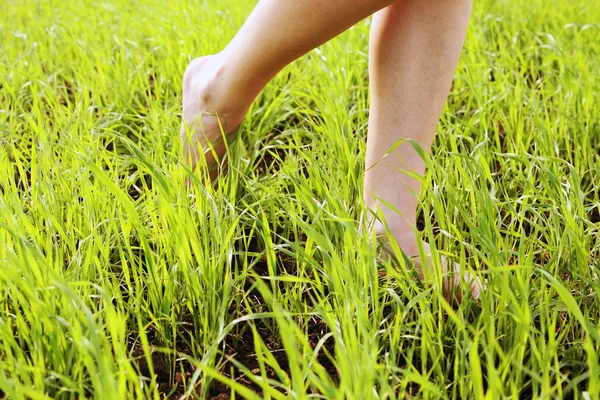 Zbliżenie Kobiece Nogi Chodzenie Pole Trawa Zielona Sezon Wiosenny — Zdjęcie stockowe
