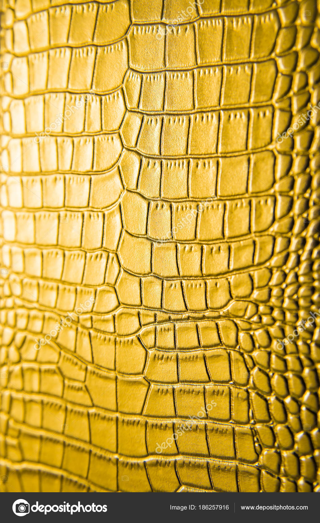 Gold Crocodile Skin Background Crocodile Leather Texture Closeup