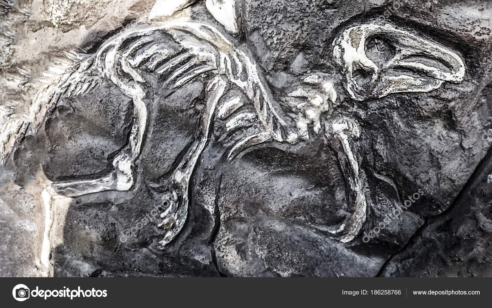 caudipteryx fossil