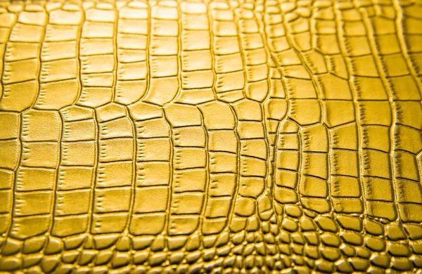 Fundo Pele Crocodilo Dourado Textura Couro Crocodilo Close Fundo — Fotografia de Stock