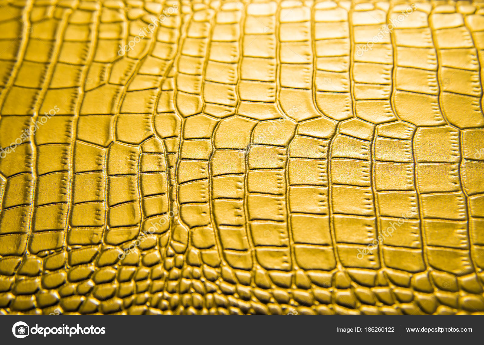 leather crocodile skin