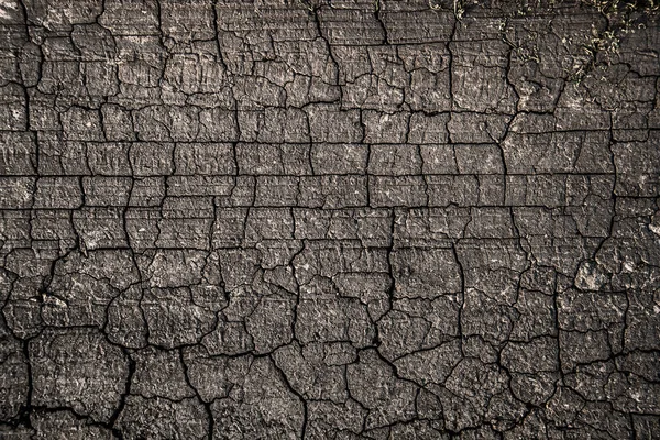 乾燥した土壌は 田舎道でしっかりと押し — ストック写真