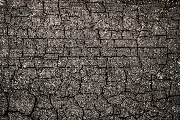 Terreno Asciutto Pressato Saldamente Strada Campagna — Foto Stock