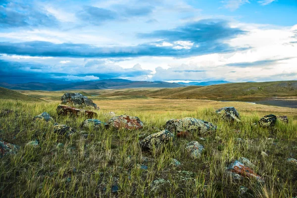 Vista Del Pequeño Lago Hermoso Prado Verde Con Piedras — Foto de Stock