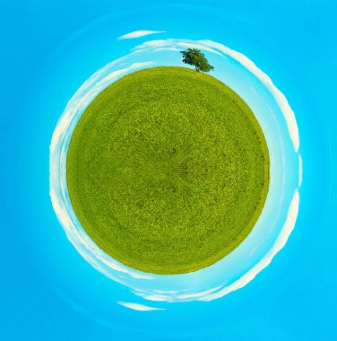  Yaz bahar yeşil çayır üzerinde ağacında. Yeşil alan yalnız tree.360 derece panoramik fotoğraf
