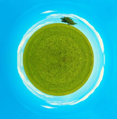  Yaz bahar yeşil çayır üzerinde ağacında. Yeşil alan yalnız tree.360 derece panoramik fotoğraf