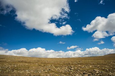 Çorak alan büyük gökyüzü hat ile sonbaharda. manzarası ve ufuk. doğa arka plan. 