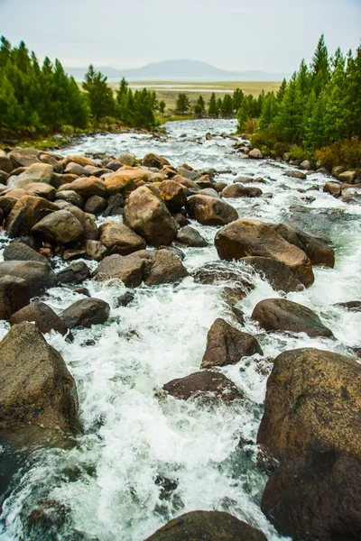 Fiume Montagna Tempestoso Che Scorre Nella Foresta Mongolia — Foto Stock