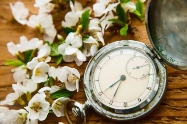 Ahşap masa arka plan üzerinde elma ağacının Vintage cep saati ve beyaz çiçekler. Bahar zaman sezon. 