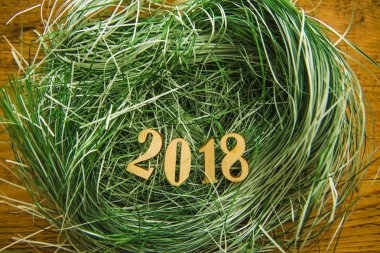 Ahşap numarası 2018 yeşil çimenlerin üzerinde arka plan iç içe. ahşap masa 