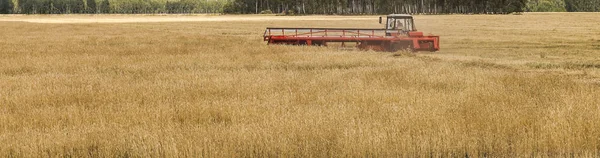 Une Moissonneuse Batteuse Moderne Travaille Sur Champ Céréales Août — Photo