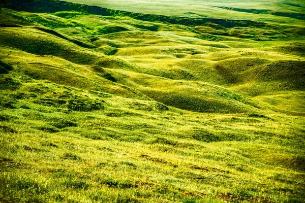 自然の背景 地方沿岸の丘 緑の牧草地 — ストック写真