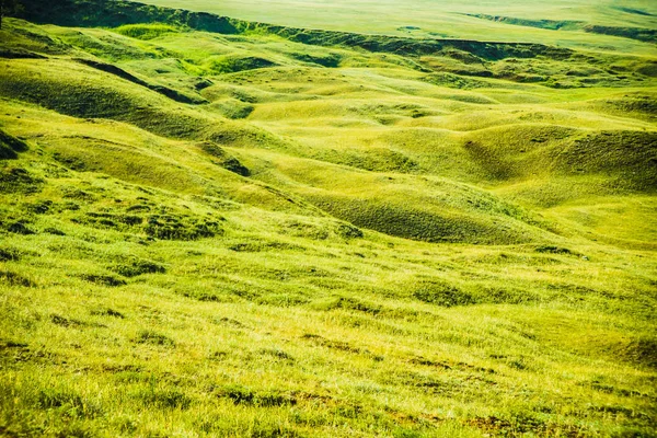 自然の背景 地方沿岸の丘 緑の牧草地 — ストック写真