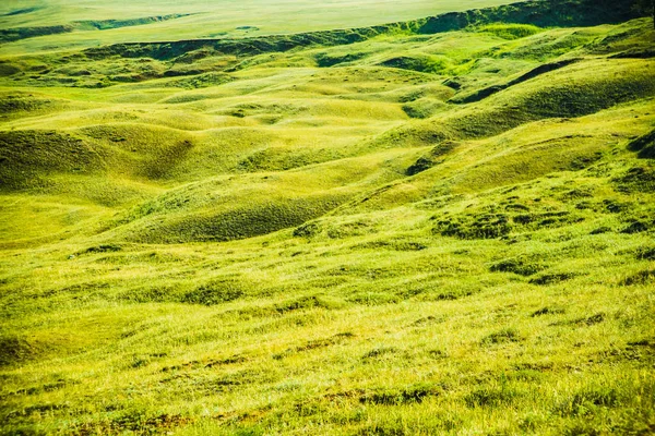 Fondo Natural Colinas Costeras Rurales Prados Verdes Hierba — Foto de Stock