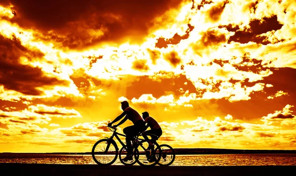 Amigos Deportivos Bicicletas Atardecer Ciclistas Largo Costa Deporte Naturaleza Fondo — Foto de Stock