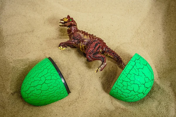 Dinosaur Hatched Green Egg Sand Background — Stock Photo, Image