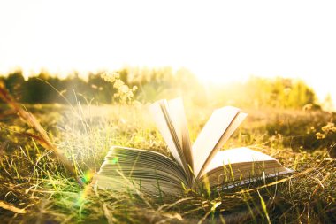 Sunset horizon ile açık kitap arka plan. Okul, eğitim fikir geri