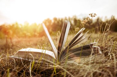 ufuk ile sonbahar alan o Sunset'teki açık kitap